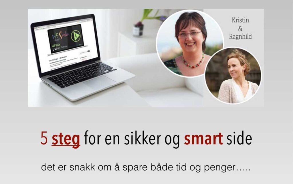 5 steg