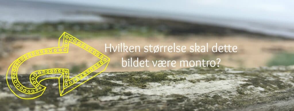 bildestørrelse