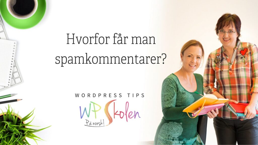 Hvorfor får man spam kommentarer?